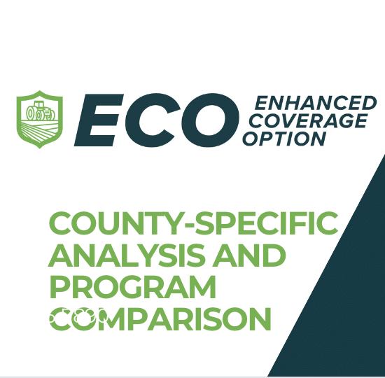 ECO
